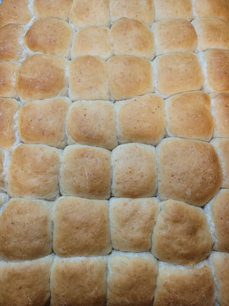 Oatmeal Dinner Rolls